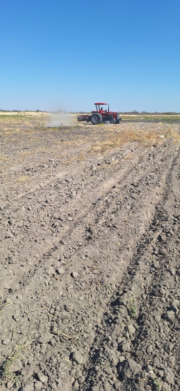 Tractor ploughing field