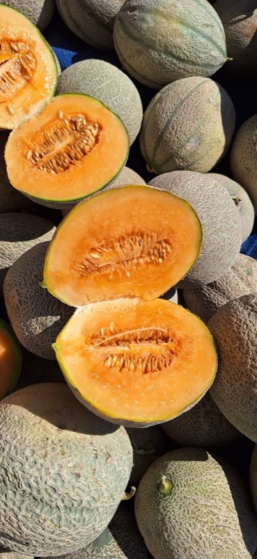 Sliced cantaloupe melon