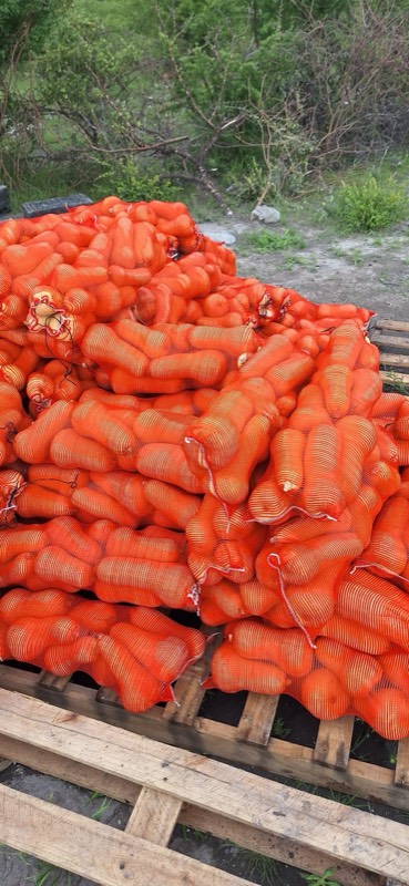 Onion bags on pallets